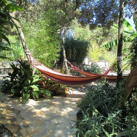 Relax Tiny Villas 40 Meters Of The Beach Zrnovo Екстериор снимка